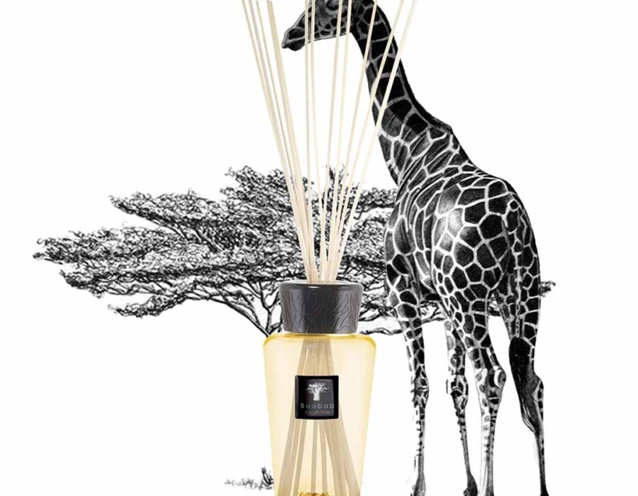 Baobab Collection Raumduft ZANZIBAR SPICES