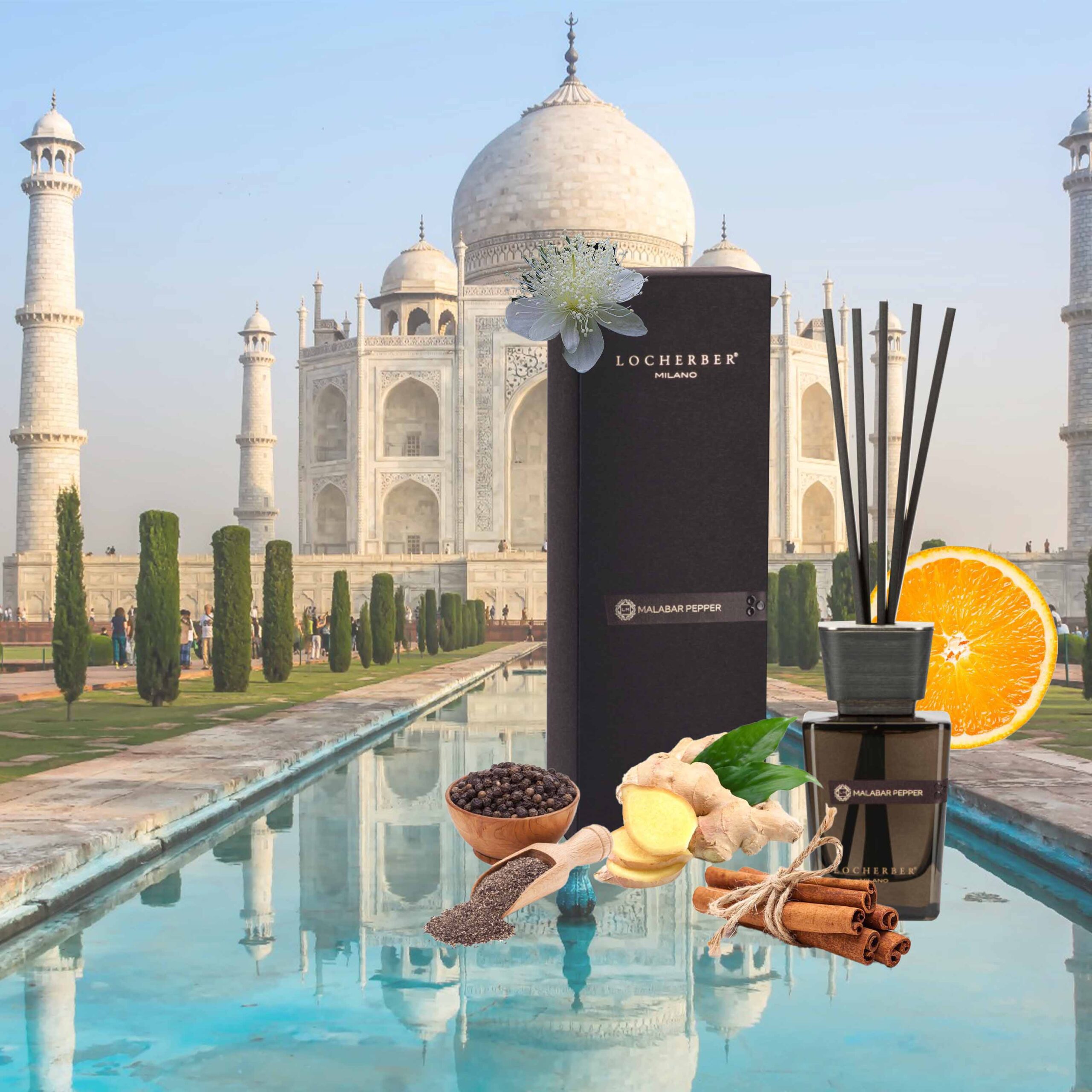 Locherber Malabar Pepper