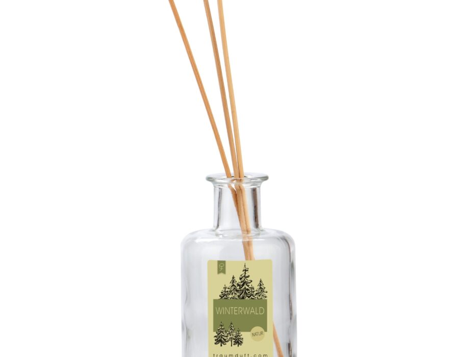 Traumduft, Mikado Apothekerflaschen Diffusor Winterwald