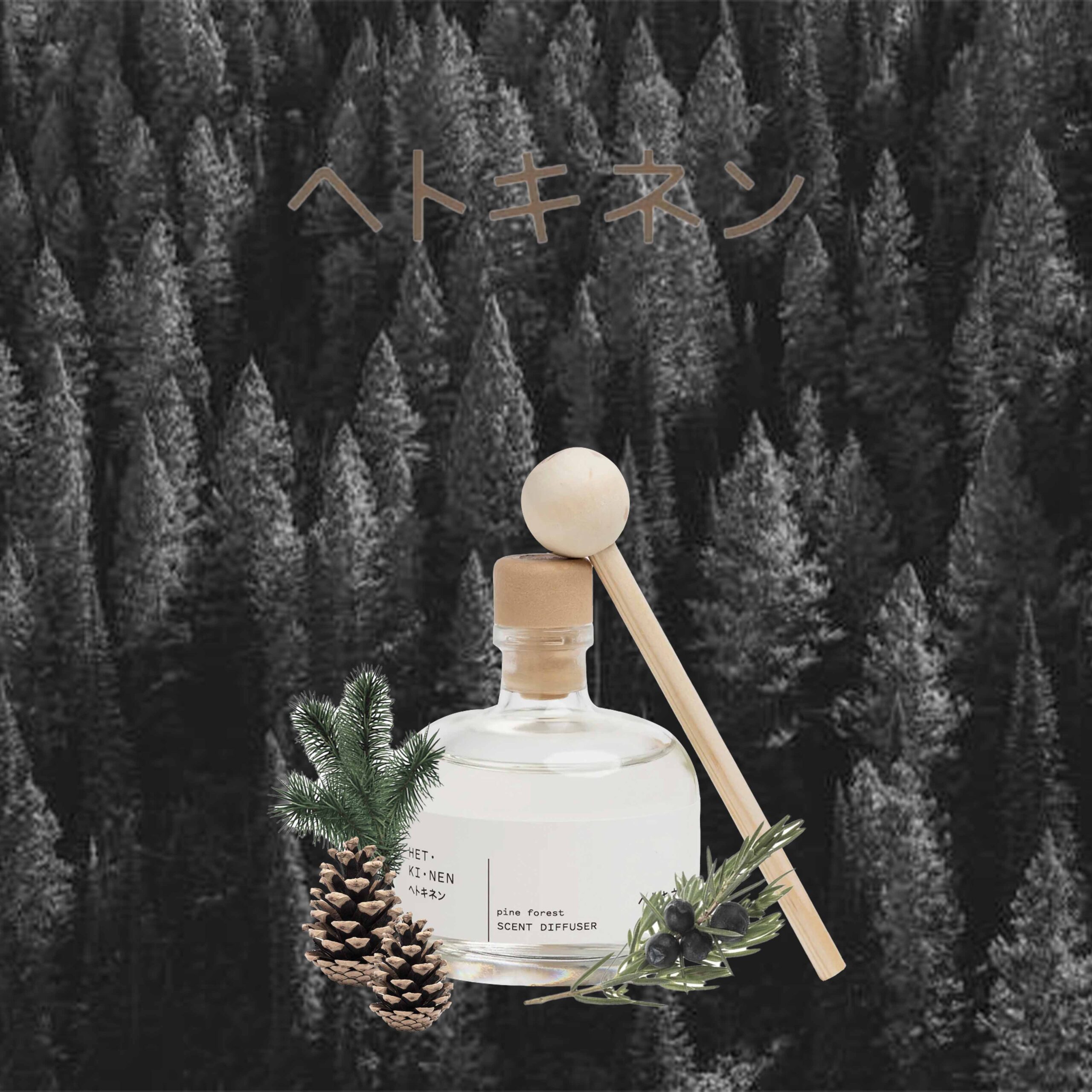 Hetkinen Kiefer Wald