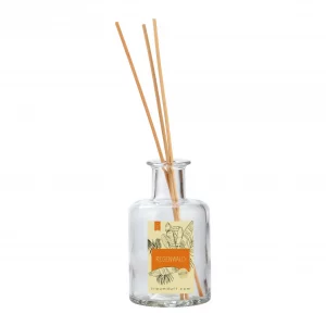 Traumduft Diffusor MIKADO REGENWALD 180 ml